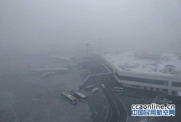 大雾天气，哈尔滨机场29个航班受影响