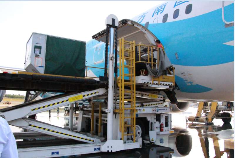 梦想客机“大肚量” 货物出疆新体验