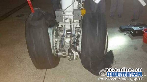 006lwNTMjw1f3ahz293orj30m80cimxm