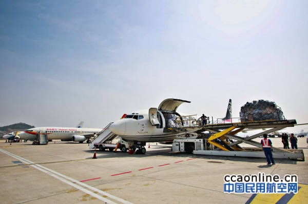 顺丰速运“樱桃专机”落地大连-2