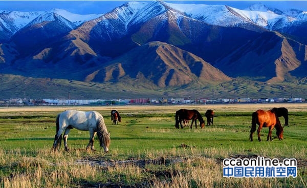 新疆巴里坤草原