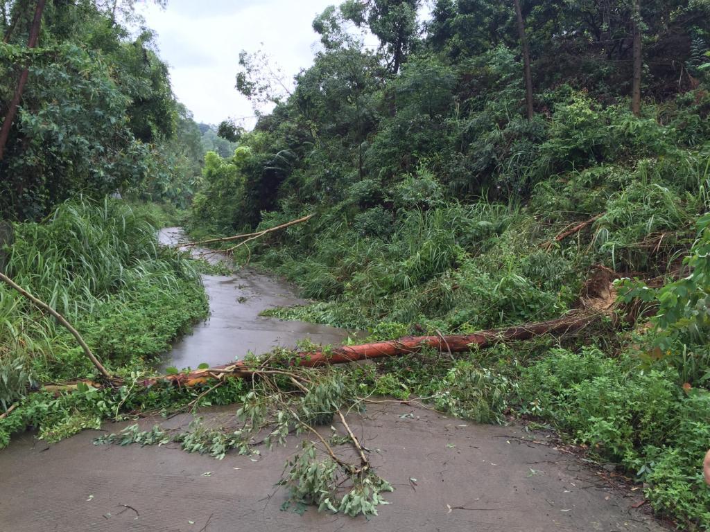 深圳空管抗擊臺風道路清障確保安全生產