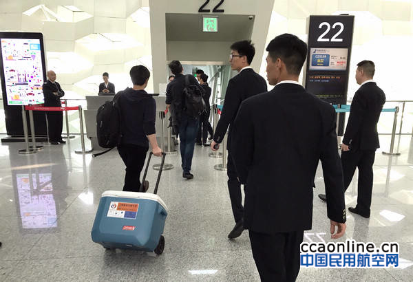 活体器官保存箱