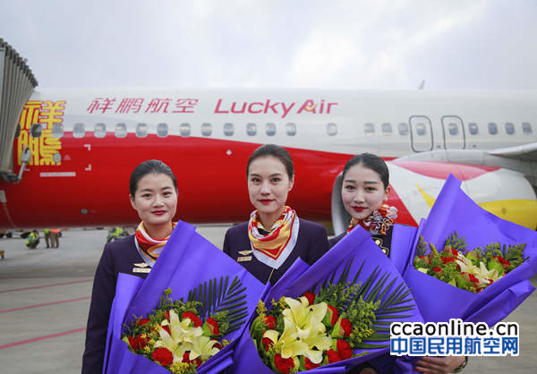 %e7%a5%a5%e9%b9%8f%e8%88%aa%e7%a9%ba%e6%98%86%e6%98%8e%e5%90%89%e9%9a%86%e5%9d%a1%e8%88%aa%e7%ba%bf%e9%a6%96%e8%88%aa-2