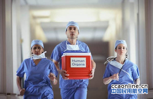 活体器官保存箱