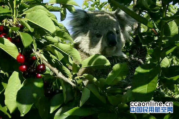 77757db1gw1ezz8cejnfej20nq0hstb1