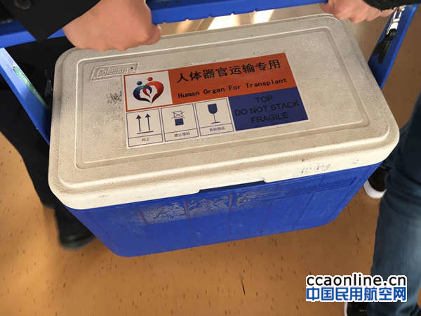 1111111_%e5%89%af%e6%9c%ac