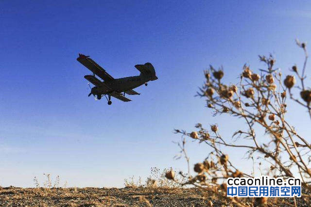 新疆通航运五飞机