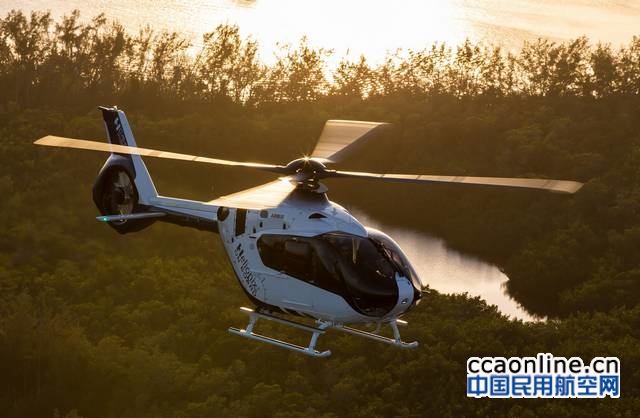 lorette-fabre-ah_exph-1696-254