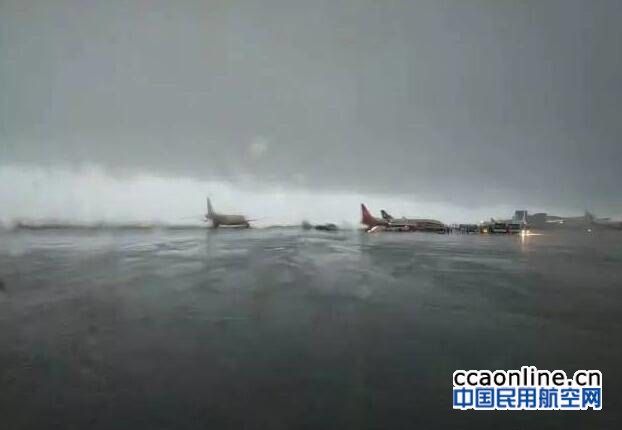 neo_img_qq%e6%88%aa%e5%9b%be20170614090214