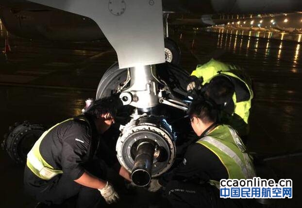 neo_img_qq%e6%88%aa%e5%9b%be20170614090242