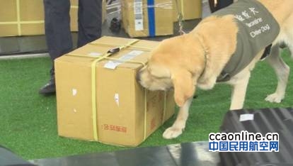 neo_img_20170713085539jfxp