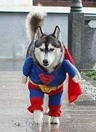 民航贫论:攒钱攒人品,寻吃寻真相