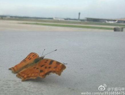 民航贫论：跟着机长和3号乘务员“冲”上云霄