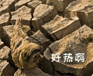 民航贫论:攒钱攒人品,寻吃寻真相