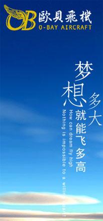 民航贫论：买飞机，还是圈地？