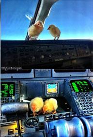 民航贫论：会穿越的航班延误原因分布数据