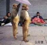 民航贫论：呼唤防棒防撞牛防奇葩旅客系统新机型