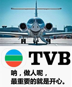 民航贫论：呼唤防棒防撞牛防奇葩旅客系统新机型