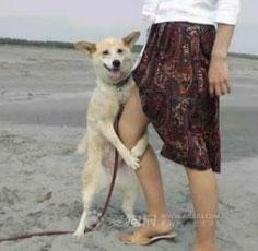 民航贫论：呼唤防棒防撞牛防奇葩旅客系统新机型