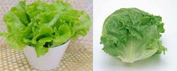 民航贫论:英皇室宝宝诞生对民航的启示