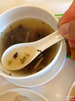 民航贫论：吃的好，一切都好