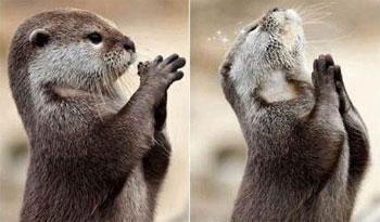 民航贫论：跟着机长和3号乘务员“冲”上云霄