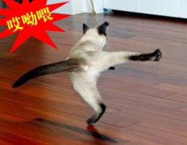 民航贫论：步子迈得太大，会扯着蛋