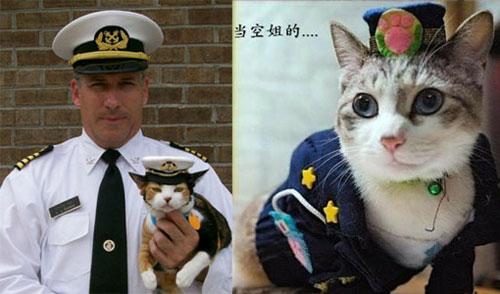 民航贫论：跟着机长和3号乘务员“冲”上云霄