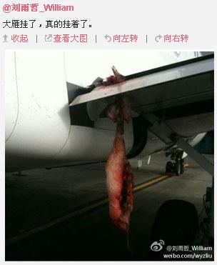 民航贫论：呼唤防棒防撞牛防奇葩旅客系统新机型