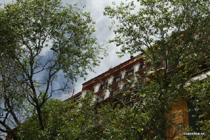 我眼中的布达拉宫，以前没有见过的布达拉宫！