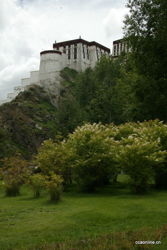 我眼中的布达拉宫，以前没有见过的布达拉宫！